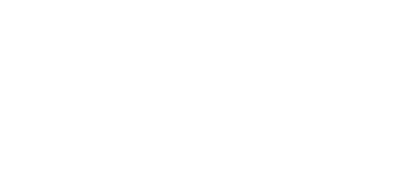 Selonia Migration Services